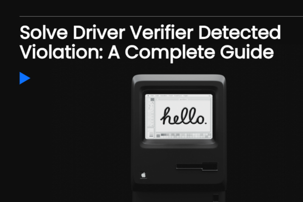driver verifier
