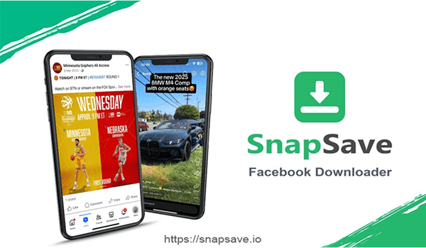 snapsaveio-video-download-min.png