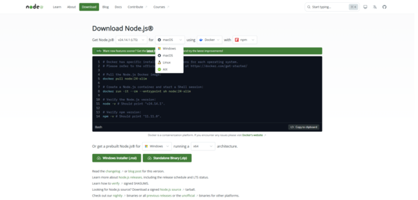 choose-version-system-nodejs