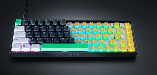 razer-reclusa-mini